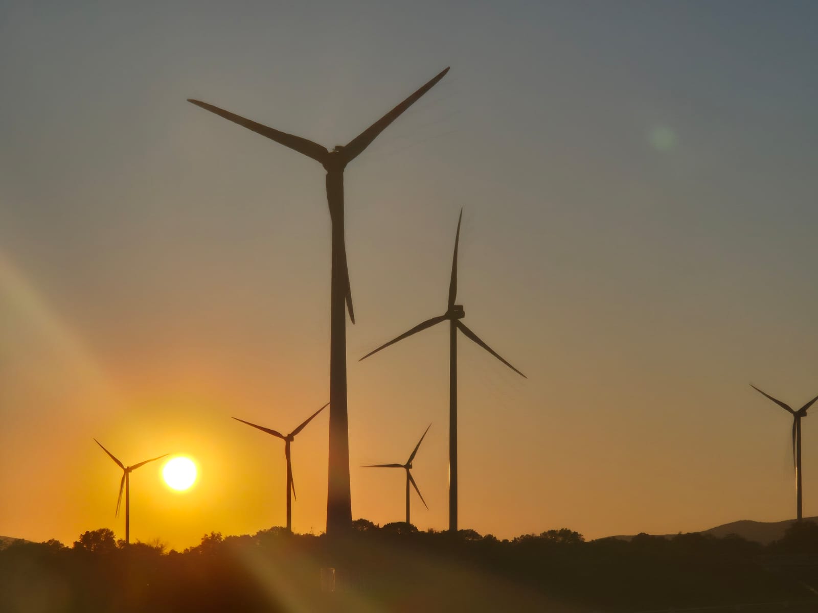 IMG 20260615 WA0074